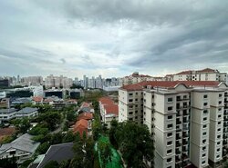 Stirling Residences (D3), Apartment #456197621